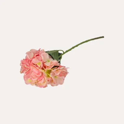 Immagine prodotto di KEYHOMESTORE | Set di Cinque Ortensie Decorative Artificiali