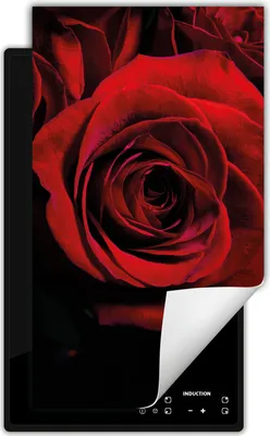 Produktbild von DarHaus Herdabdeckplatte 1 teilig 30x52 cm Anti Rutsch Matte Aufrollbar, schwarz - rot - Rose