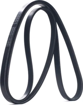 Produktbild von RIDEX Keilrippenriemen 1645mm für HYUNDAI Tucson (TL, TLE) 305P0196