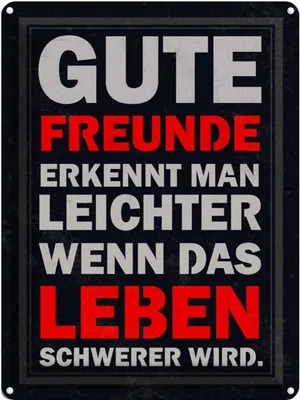 Produktbild von vianmo Blechschild 40x30 cm gute Freunde erkennt man Spruch Zitat