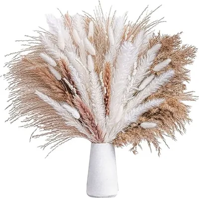 Image de ASKSA Herbe de la pampa séchée 80pcs Fleurs séchées naturelles Décoration DIY Bouquet de fleurs séchées,Bouquet d'herbe de la pampa Fleur de roseau Décoration Ideal for Boho Salon-chambre à coucher