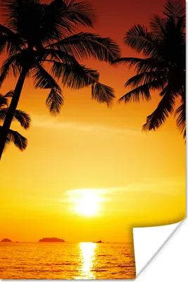 Produktbild von MuchoWow® Poster Palme - Sonnenuntergang - Strand - Orange - Tropisch 120x180 cm - Kunstposter