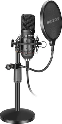 A professional studio microphone set with a stand and pop filter on a white background.