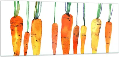 Produktbild von Bilder auf glas - Karotte Gemüse - 100x40cm - Glasbilder - Wandbilder - Kunstdruck - zum Aufhängen bereit - Wanddekoration aus Glas - Glas Bilder - Wandbild auf Glas - Einteilig - GAB100x40-3826