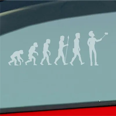 Produktbild von Auto Aufkleber Evolution Selfie Stick Handy Entwicklung Darwin 19x6,7 cm Milchglas Sticker Heckscheibenaufkleber