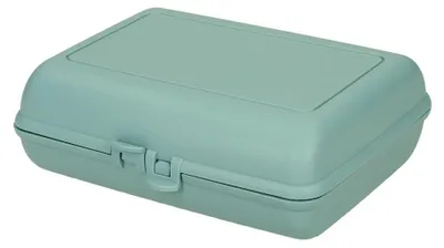 Zdjęcie produktu dla Ekologiczne pudełko do przechowywania "Switch" - Zrównoważone pudełko na lunch z zamknięciem na zatrzask, idealne pudełko na lunch dla dzieci w naturalnych kolorach, wolne od BPA i wyprodukowane w Niemczech - miętowe