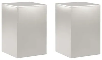 Immagine prodotto di Supporto per piante 2 pcs Argento 40 x 40 x 60 cm Acciaio