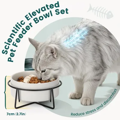 Image de Inovra - Litière pour chat en céramique - Gamelle double pour chats