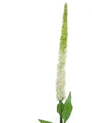 Produktbild von DPI Ehrenpreis - Veronica Cremeweiß 112 cm - Kunstblumen