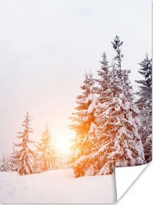 Produktbild von MuchoWow® Poster Sonne - Bäume - Schnee 30x40 cm - Wandplakat - Poster Kinderzimmer