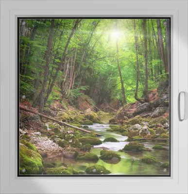 Produktbild von Wallario Lichtschutzbild, Dekorativer Sichtschutz Sonnenschutz 96 x 93 cm mit Motiv: Fluss im Wald - Verdunklung ohne Bohren