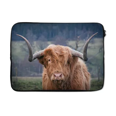 Produktbild von MuchoWow® Laptop Hülle 14 ZollSchottischer Highlander - Kuhkopf - Landschaft - Natur - Kuh Laptoptasche - Laptoptasche - Stoßsicher - Schutzhaube
