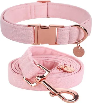 Produktbild von Halsband für kleine und mittelgroße Hunde, rosa, verstellbar