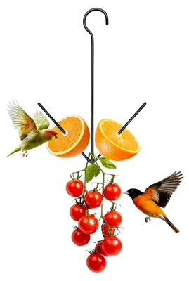 Produktbild von Kolibri-Futterspender - wetterfester Metallfutterbehälter mit Aufhängehaken für Wellensittiche und Kanarienvögel im Garten