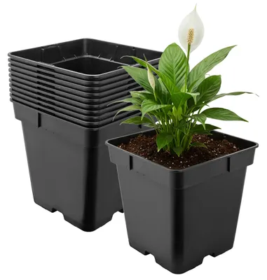 Produktbild von Garronda 10 Stück Kunststoff eckig mit Drainagelöchern Blumentopf für Garten (Schwarz, 18 x 18 x 18 cm (4L)) GD-KW-S