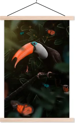 Produktbild von MuchoWow® Textilposter Tukan - Vogel - Dschungel 60x90 cm mit holzfarbenen Rahmen - Textil