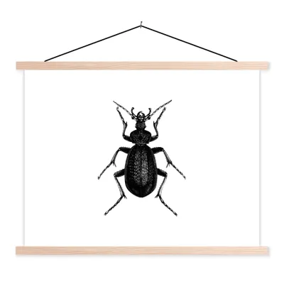 Produktbild von MuchoWow® Textilposter Schwarz und weiß - Käfer - Vintage - Insekten 60x45 cm mit holzfarbenen Rahmen - Bild