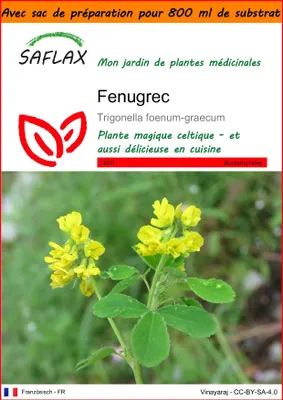 Image de SAFLAX Garden in the bag - Fenugrec - 100 graines - Trigonella