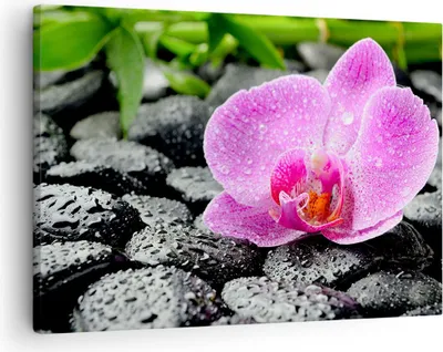 Produktbild von Bild auf Leinwand - Leinwandbild - Asien bambus schönheit kultur - 70x50cm - Wand Bild - Wanddeko - Leinwanddruck - Bilder - Kunstdruck - Wanddekoration - Leinwand bilder - Wandkunst - AA70x50-2165