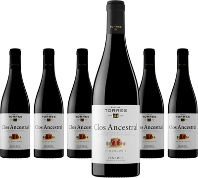 Produktbild von 6 x Miguel Torres Clos Ancestral Torres