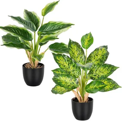 Produktbild von Unyqoos® Set mit 2 künstlichen Pflanzen für stilvolle Innenraumdekoration, 37 cm hoch, pflegeleicht und realistisch