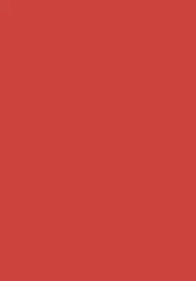 Produktbild von 100 Blatt farbiges Druckerpapier / buntes Kopierpapier / Farbe: rot