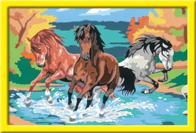 Image de Ravensburger 28492 Ravensburger Malen-nach-Zahlen Stolze Wildpferde