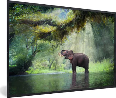 Produktbild von MuchoWow® MuchoWow® Gerahmtes Poster Dschungel - Elefant - Wasser 90x60 cm - Poster mit zchwarzem Bilderrahmen - Fotorahmen - Foto-Plakat