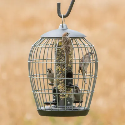 Produktbild von CJ Wildlife Futtersäule Vögel - 2-in-1 mit Schutzgitter - Kunststoff/pulverbeschichtetes Metall - Graphit-Grau - für kleine Vögel - zum Aufhängen