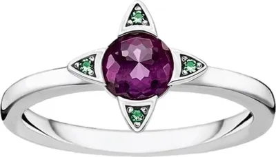 Zdjęcie produktu dla Thomas Sabo - TR2263-667-13-54 - Pierścionek - Uni  - Srebro próby 925 - Szerokość 54