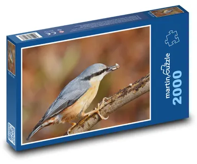 Obrázok produktu pre martinpuzzle - Puzzle 2000 - Brhlík - vták