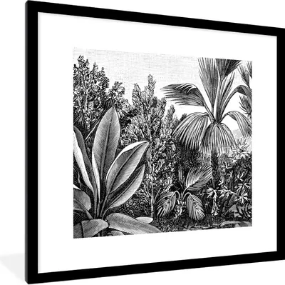 Produktbild von MuchoWow® Gerahmtes Poster Pflanzen - Natur - Gestaltung - Illustration - Ernst Haeckel 40x40 cm - Poster mit Schwarzem Bilderrahmen Wandposter Rahmen Foto Bilder - Poster - Plakat im Rahmen