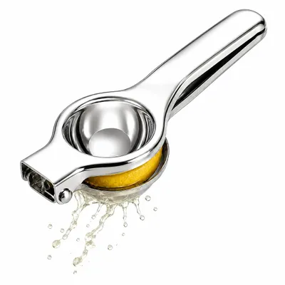 Produktbild von Manuelle Saftpresse aus Edelstahl, ergonomischer Griff, KI-generiertes Bild
