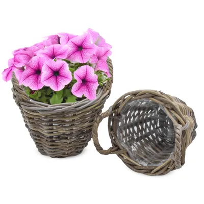 Produktbild von Weide Pflanzkorb 2er Set grau - 20 cm / mini - Holz Blumenkorb mit Henkel - Natur Garten Deko Rattan Blumentopf