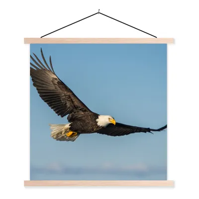 Produktbild von MuchoWow® Textilposter Vogel - Adler - Raubvögel 40x40 cm mit holzfarbenen Rahmen - Posterleiste