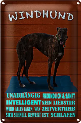 Produktbild von Blechschild Spruch 20x30cm Windhund Hund intelligent sanft
