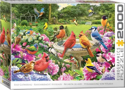 Produktbild von Eurographics Puzzle Gartenvögel Treffen, 2000 Teile, 68 x 97 cm, 8220-6134