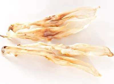 Two dried rabbit ears on a white background.