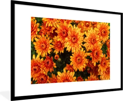 Produktbild von MuchoWow® Gerahmtes Poster Blumen - Orange - Chrysantheme 90x60 cm - Poster mit Schwarzem Bilderrahmen Wandposter Rahmen Foto Bilder - Wanddekoration - Fotos
