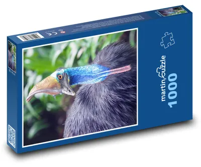 Obrázek produktu pro martinpuzzle - Puzzle 1000 - Kasuár - australský pták