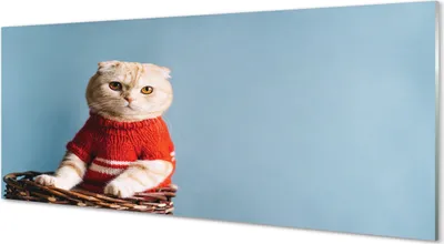 Produktbild von Glasbilder 125x50 Wandkunst sitzende Katze