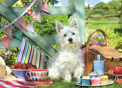 Produktbild von Eurographics Puzzle Scottie Dog Picnic 500 Teile Karton Tiere