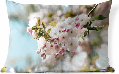 Produktbild von MuchoWow® Outdoor Kissen - Blumen - Blüte - Frühling - 50x30 cm - Wetterfest - Lounge Kissen - Sofa kissen - Wohnzimmer Dekoration