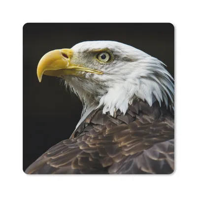 Produktbild von MuchoWow® Mauspad Mousepad Adler - Vogel - Augen - Schnabel 30x30 cm - Mousepads - Maus Mat - Pad - Mausunterlage - Gaming