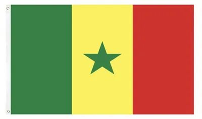 Immagine prodotto di Bandiera del Senegal – Bandiera del Senegal – Bandiera senegalese – Coppa del Mondo – 150/90 cm – Poliestere – CHPN