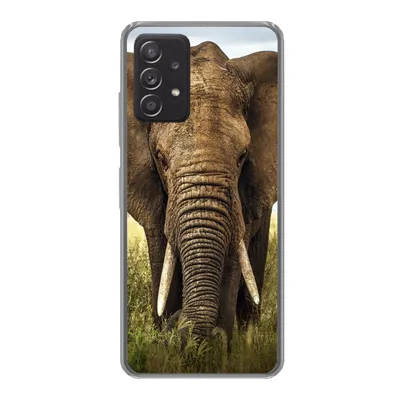 Produktbild von MuchoWow® Handyhülle Schutzhülle Hülle für Samsung Galaxy A33 5G Elefant - Gras - Tiere - Natur Silikon Softcase Handy Hülle - Kartenhalter