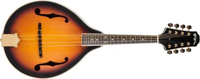 Obrázek produktu pro Pilgrim VPMA30