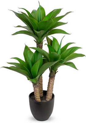 Immagine prodotto di Pianta artificiale di agave da 60 cm in un grande vaso di vetro per decorare il soggiorno e l'ufficio