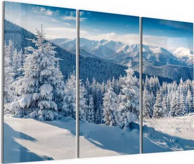 Produktbild von DEQORI Glasbild Echtglas 3x50x100 cm 'Karpatenwinter' Wandbilder XXL groß