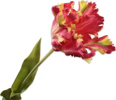 Produktbild von Silk-ka Seidenblume-Kunstblume Tulpenstiel Rot-Gelb 71 cm